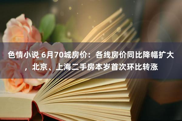 色情小说 6月70城房价：各线房价同比降幅扩大，北京、上海二手房本岁首次环比转涨