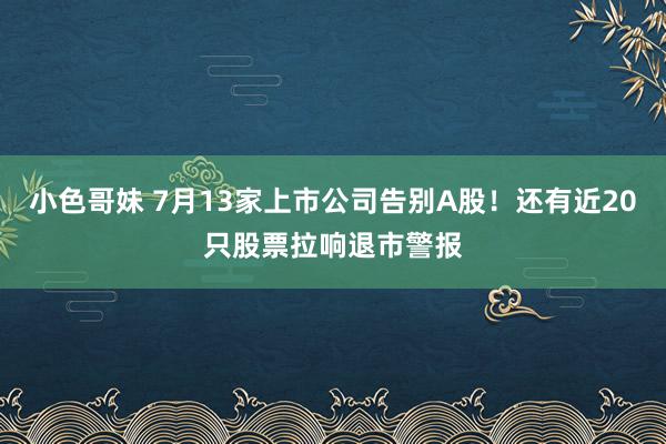 小色哥妹 7月13家上市公司告别A股！还有近20只股票拉响退市警报