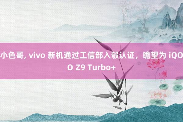 小色哥， vivo 新机通过工信部入彀认证，瞻望为 iQOO Z9 Turbo+