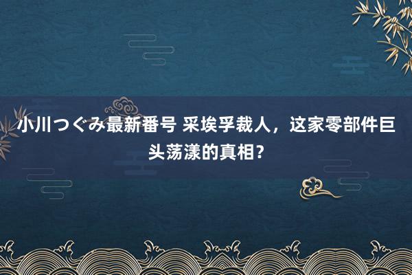 小川つぐみ最新番号 采埃孚裁人，这家零部件巨头荡漾的真相？