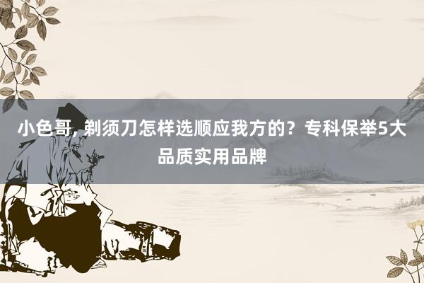 小色哥， 剃须刀怎样选顺应我方的？专科保举5大品质实用品牌