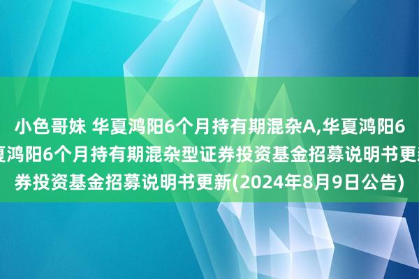 小色哥妹 华夏鸿阳6个月持有期混杂A，华夏鸿阳6个月持有期混杂C: 华夏鸿阳6个月持有期混杂型证券投资基金招募说明书更新(2024年8月9日公告)