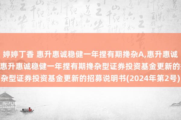 婷婷丁香 惠升惠诚稳健一年捏有期搀杂A，惠升惠诚稳健一年捏有期搀杂C: 惠升惠诚稳健一年捏有期搀杂型证券投资基金更新的招募说明书(2024年第2号)