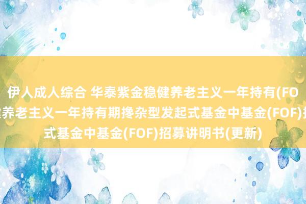 伊人成人综合 华泰紫金稳健养老主义一年持有(FOF): 华泰紫金稳健养老主义一年持有期搀杂型发起式基金中基金(FOF)招募讲明书(更新)