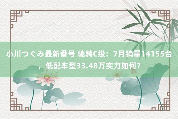 小川つぐみ最新番号 驰骋C级：7月销量14155台，低配车型33.48万实力如何？