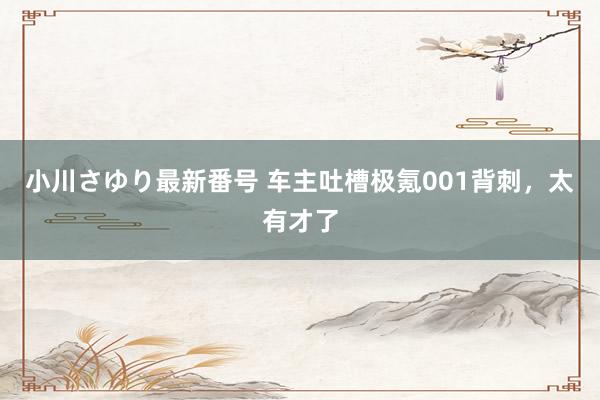 小川さゆり最新番号 车主吐槽极氪001背刺，太有才了