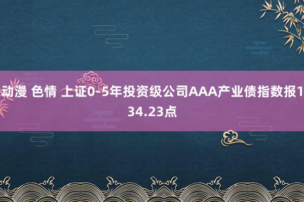 动漫 色情 上证0-5年投资级公司AAA产业债指数报134.23点