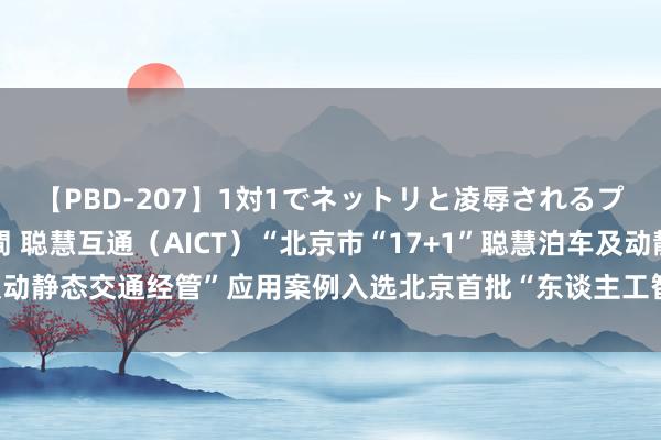 【PBD-207】1対1でネットリと凌辱されるプレミア女優たち 8時間 聪慧互通（AICT）“北京市“17+1”聪慧泊车及动静态交通经管”应用案例入选北京首批“东谈主工智能+”应用场景典型案例