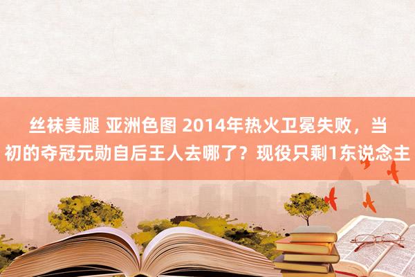 丝袜美腿 亚洲色图 2014年热火卫冕失败，当初的夺冠元勋自后王人去哪了？现役只剩1东说念主