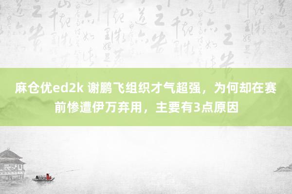 麻仓优ed2k 谢鹏飞组织才气超强，为何却在赛前惨遭伊万弃用，主要有3点原因