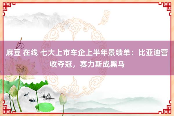 麻豆 在线 七大上市车企上半年景绩单：比亚迪营收夺冠，赛力斯成黑马