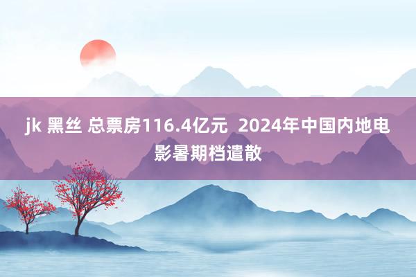 jk 黑丝 总票房116.4亿元  2024年中国内地电影暑期档遣散