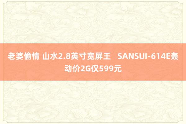 老婆偷情 山水2.8英寸宽屏王   SANSUI-614E轰动价2G仅599元