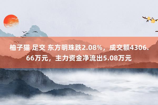 柚子猫 足交 东方明珠跌2.08%，成交额4306.66万元，主力资金净流出5.08万元