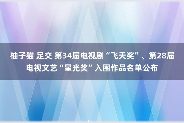 柚子猫 足交 第34届电视剧“飞天奖”、第28届电视文艺“星光奖”入围作品名单公布